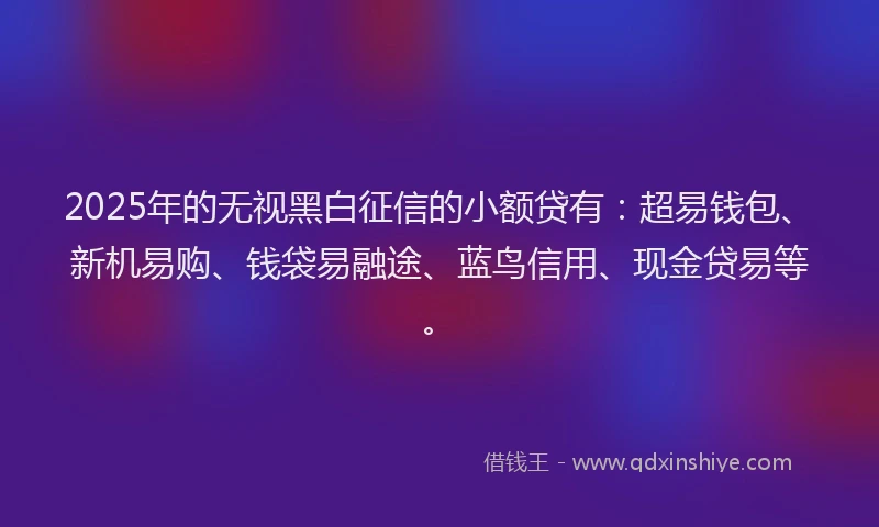 2025年的无视黑白征信的小额贷有：超易钱包、新机易购、钱袋易融途、蓝鸟信用、现金贷易等。