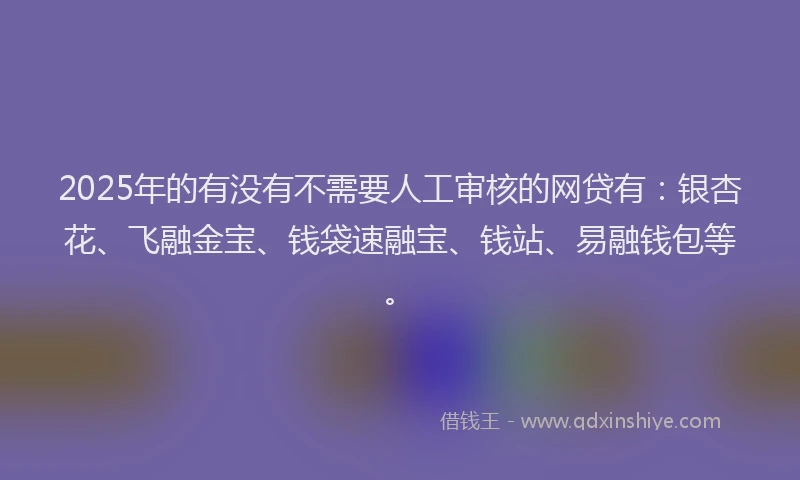 2025年的有没有不需要人工审核的网贷有：银杏花、飞融金宝、钱袋速融宝、钱站、易融钱包等。