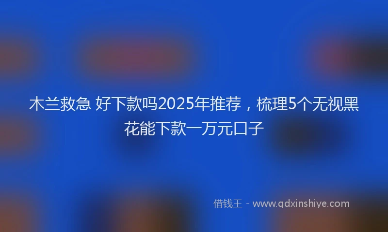 木兰救急 好下款吗2025年推荐，梳理5个无视黑花能下款一万元口子
