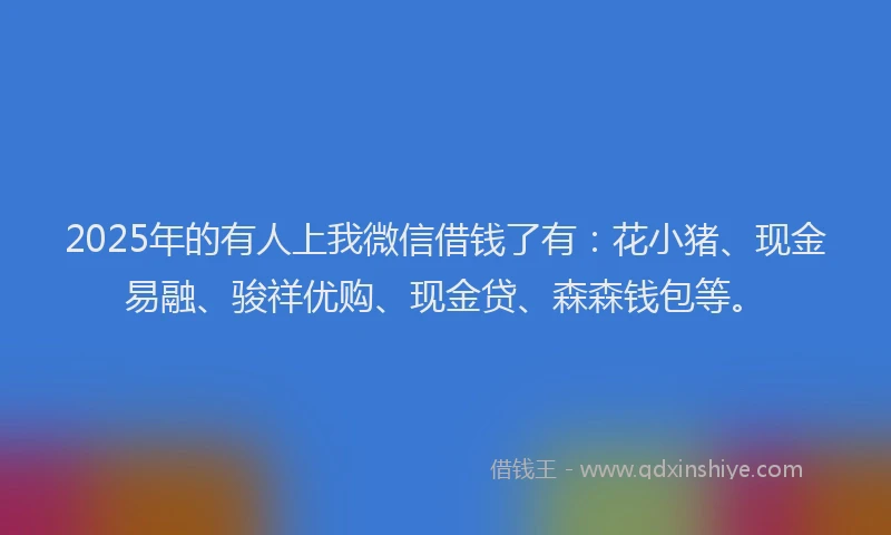 2025年的有人上我微信借钱了有：花小猪、现金易融、骏祥优购、现金贷、森森钱包等。