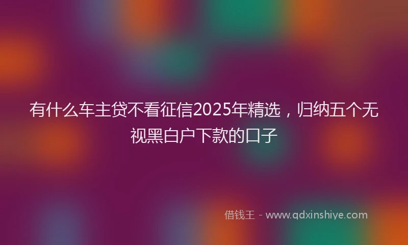 有什么车主贷不看征信2025年精选，归纳五个无视黑白户下款的口子