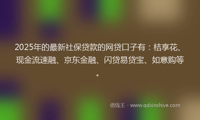 2025年的最新社保贷款的网贷口子有：桔享花、现金流速融、京东金融、闪贷易贷宝、如意购等。