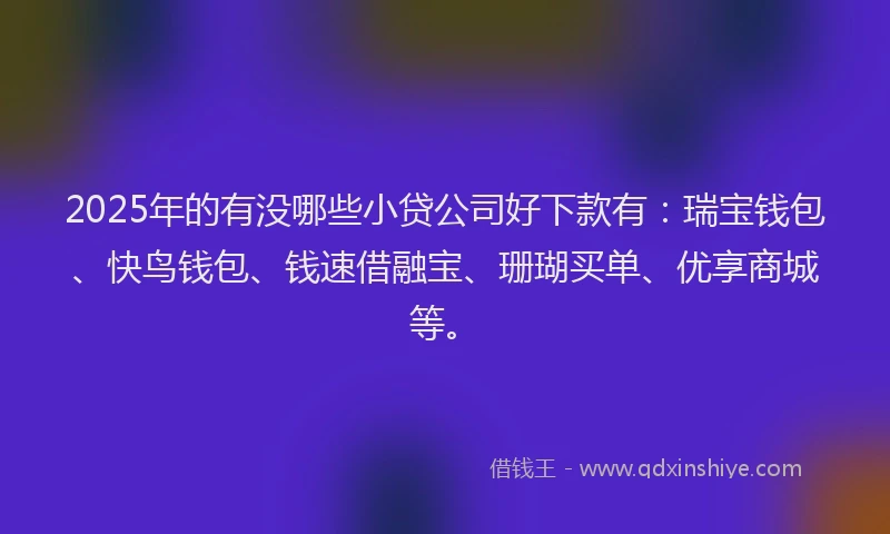 2025年的有没哪些小贷公司好下款有：瑞宝钱包、快鸟钱包、钱速借融宝、珊瑚买单、优享商城等。