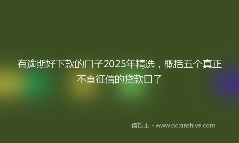 有逾期好下款的口子2025年精选，概括五个真正不查征信的贷款口子