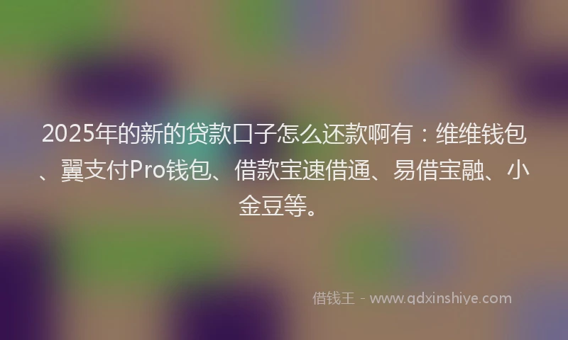 2025年的新的贷款口子怎么还款啊有：维维钱包、翼支付Pro钱包、借款宝速借通、易借宝融、小金豆等。