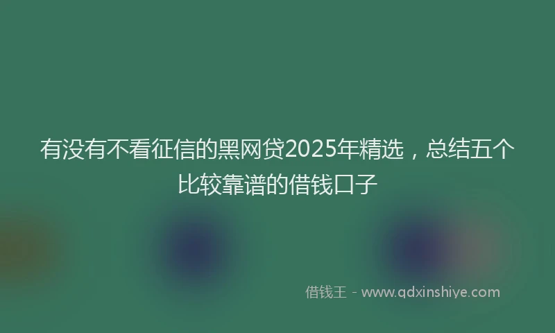 有没有不看征信的黑网贷2025年精选，总结五个比较靠谱的借钱口子