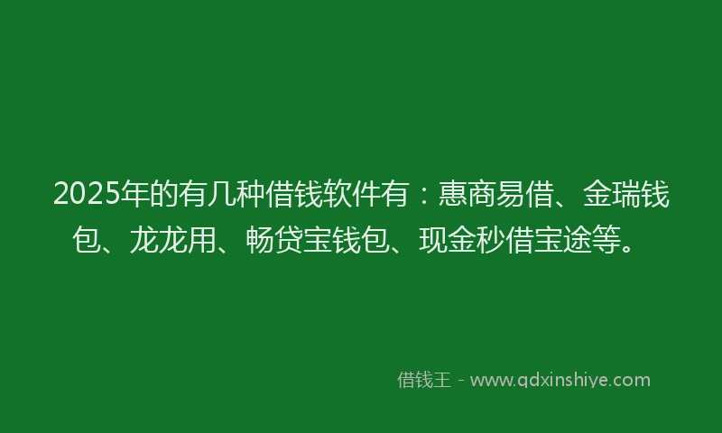 2025年的有几种借钱软件有：惠商易借、金瑞钱包、龙龙用、畅贷宝钱包、现金秒借宝途等。