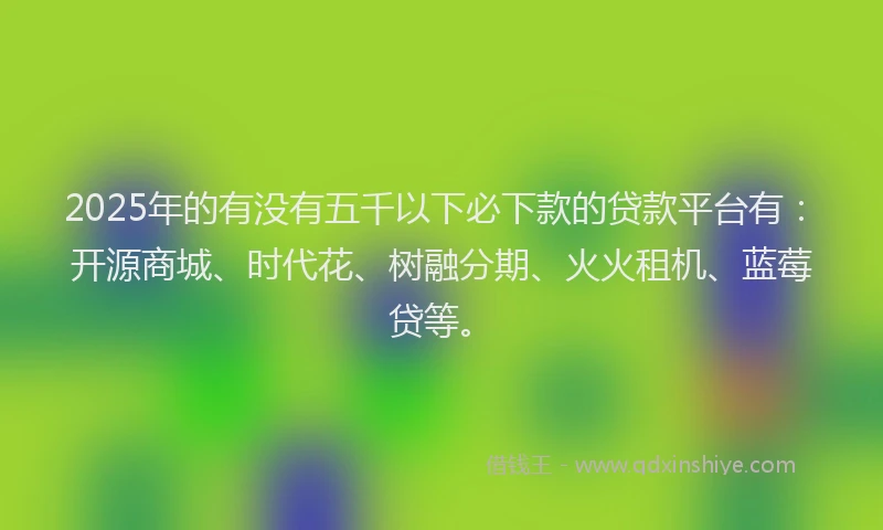 2025年的有没有五千以下必下款的贷款平台有：开源商城、时代花、树融分期、火火租机、蓝莓贷等。