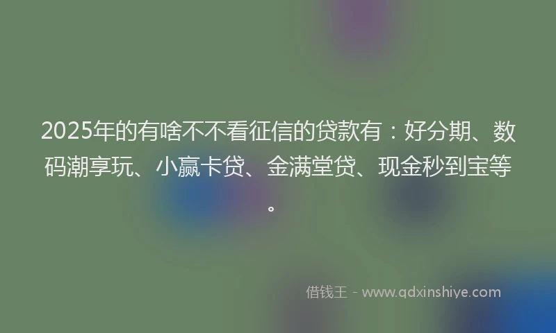 2025年的有啥不不看征信的贷款有：好分期、数码潮享玩、小赢卡贷、金满堂贷、现金秒到宝等。