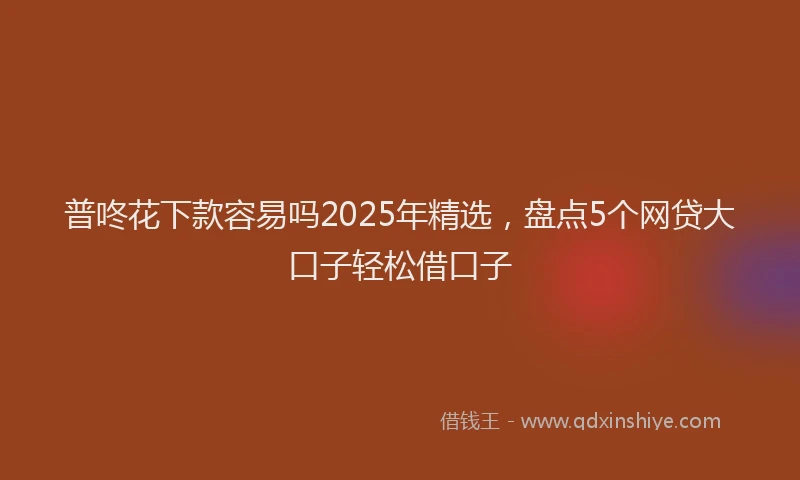 普咚花下款容易吗2025年精选，盘点5个网贷大口子轻松借口子