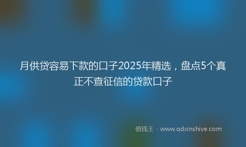 月供贷容易下款的口子2025年精选，盘点5个真正不查征信的贷款口子