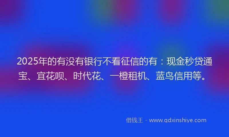 2025年的有没有银行不看征信的有：现金秒贷通宝、宜花呗、时代花、一橙租机、蓝鸟信用等。