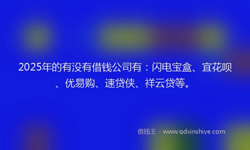 2025年的有没有借钱公司有：闪电宝盒、宜花呗、优易购、速贷侠、祥云贷等。