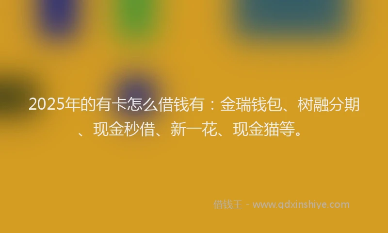 2025年的有卡怎么借钱有：金瑞钱包、树融分期、现金秒借、新一花、现金猫等。