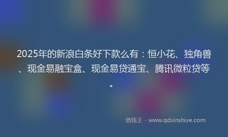 2025年的新浪白条好下款么有：恒小花、独角兽、现金易融宝盒、现金易贷通宝、腾讯微粒贷等。