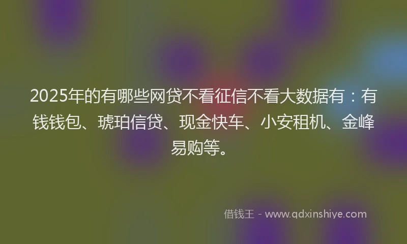2025年的有哪些网贷不看征信不看大数据有：有钱钱包、琥珀信贷、现金快车、小安租机、金峰易购等。