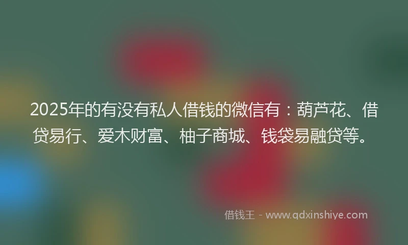 2025年的有没有私人借钱的微信有：葫芦花、借贷易行、爱木财富、柚子商城、钱袋易融贷等。