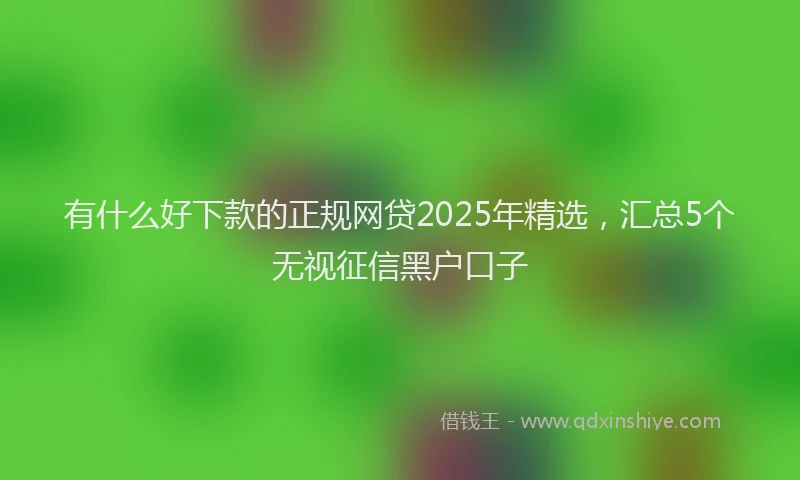 有什么好下款的正规网贷2025年精选，汇总5个无视征信黑户口子