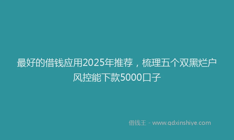最好的借钱应用2025年推荐，梳理五个双黑烂户风控能下款5000口子