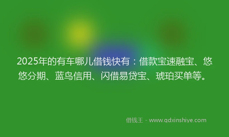 2025年的有车哪儿借钱快有：借款宝速融宝、悠悠分期、蓝鸟信用、闪借易贷宝、琥珀买单等。
