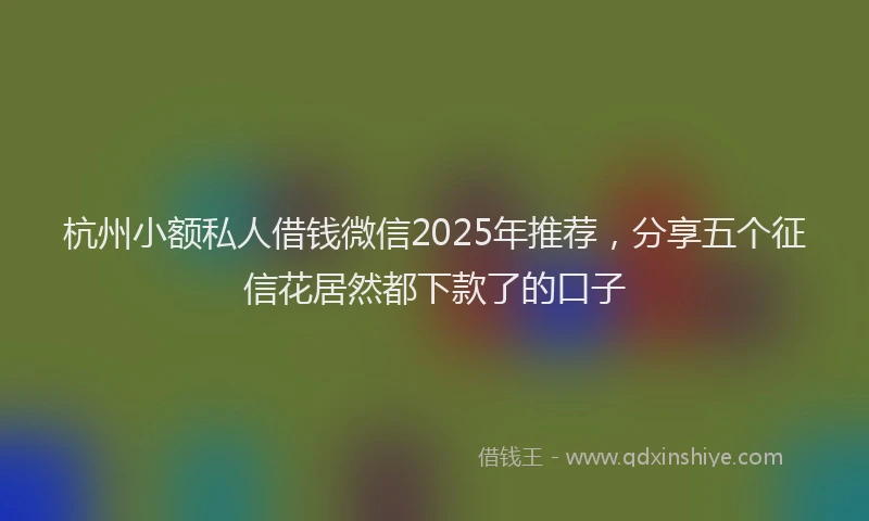 杭州小额私人借钱微信2025年推荐，分享五个征信花居然都下款了的口子