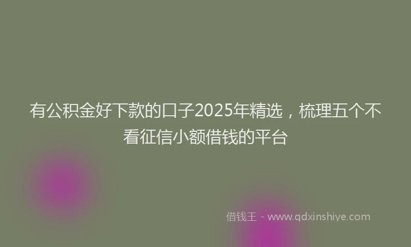 有公积金好下款的口子2025年精选，梳理五个不看征信小额借钱的平台