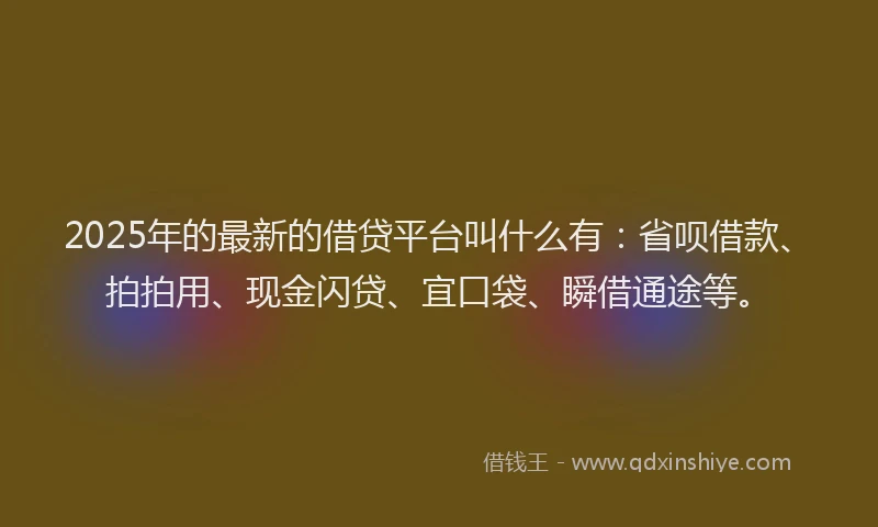 2025年的最新的借贷平台叫什么有：省呗借款、拍拍用、现金闪贷、宜口袋、瞬借通途等。