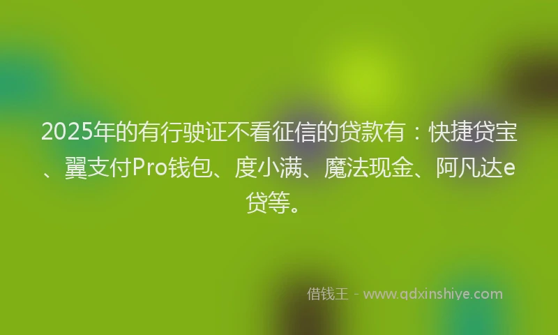 2025年的有行驶证不看征信的贷款有：快捷贷宝、翼支付Pro钱包、度小满、魔法现金、阿凡达e贷等。