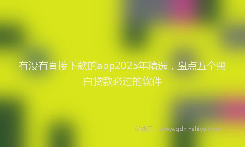 有没有直接下款的app2025年精选，盘点五个黑白贷款必过的软件