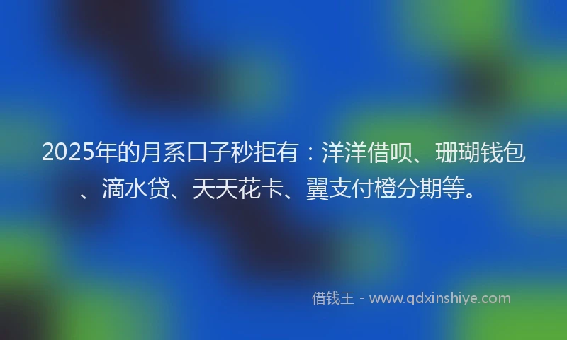 2025年的月系口子秒拒有：洋洋借呗、珊瑚钱包、滴水贷、天天花卡、翼支付橙分期等。
