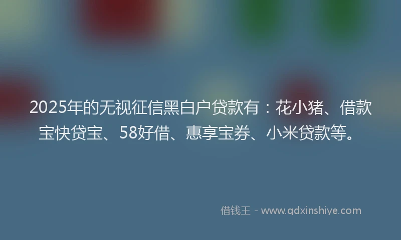 2025年的无视征信黑白户贷款有：花小猪、借款宝快贷宝、58好借、惠享宝券、小米贷款等。