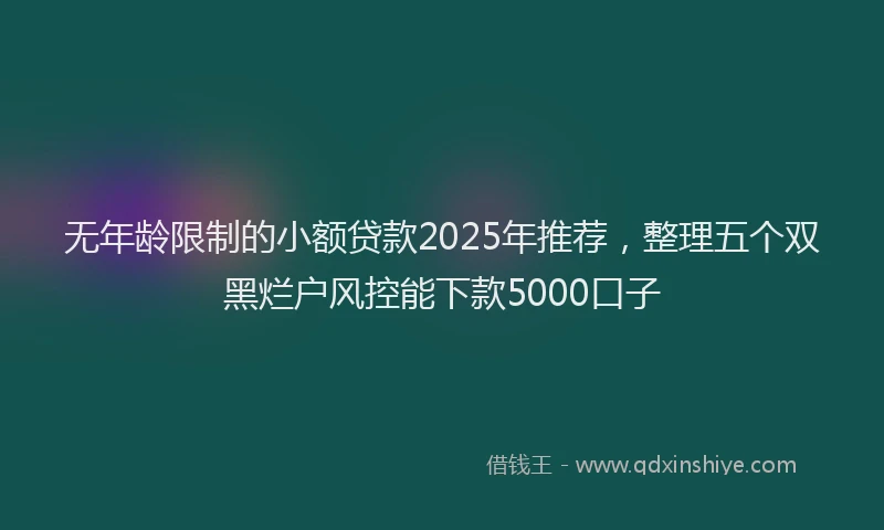 无年龄限制的小额贷款2025年推荐，整理五个双黑烂户风控能下款5000口子