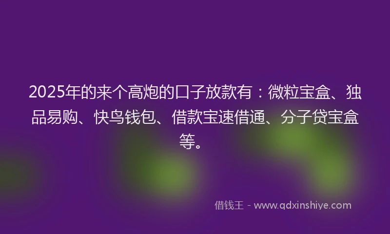 2025年的来个高炮的口子放款有：微粒宝盒、独品易购、快鸟钱包、借款宝速借通、分子贷宝盒等。