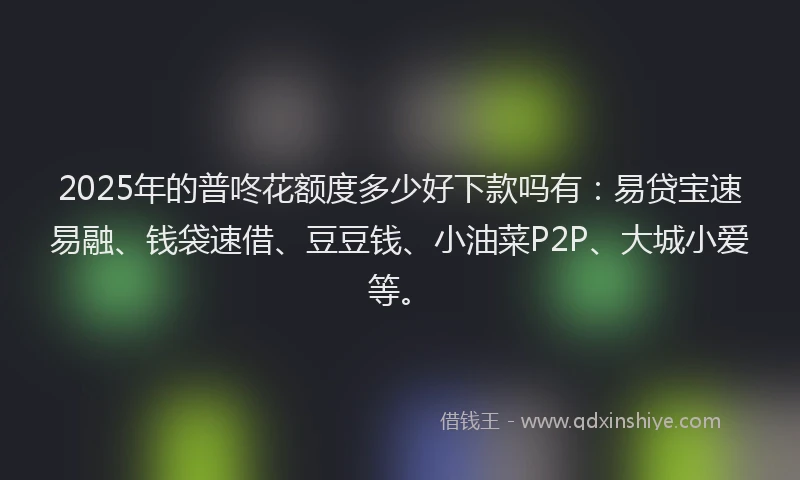 2025年的普咚花额度多少好下款吗有：易贷宝速易融、钱袋速借、豆豆钱、小油菜P2P、大城小爱等。