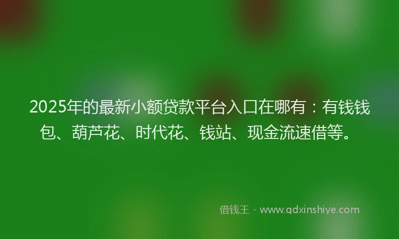 2025年的最新小额贷款平台入口在哪有：有钱钱包、葫芦花、时代花、钱站、现金流速借等。