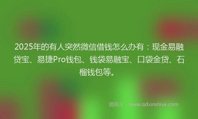 2025年的有人突然微信借钱怎么办有：现金易融贷宝、易捷Pro钱包、钱袋易融宝、口袋金贷、石榴钱包等。