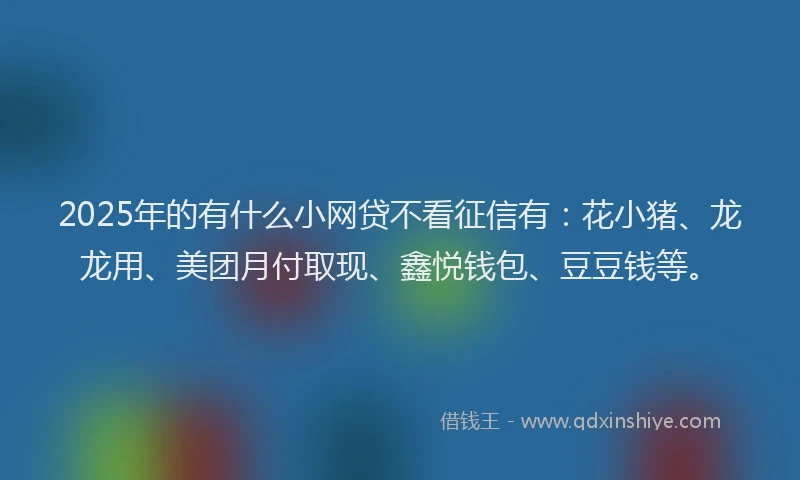 2025年的有什么小网贷不看征信有：花小猪、龙龙用、美团月付取现、鑫悦钱包、豆豆钱等。