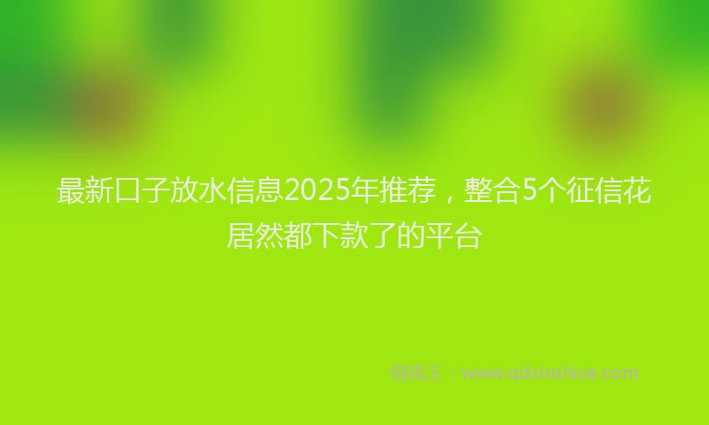 最新口子放水信息2025年推荐，整合5个征信花居然都下款了的平台