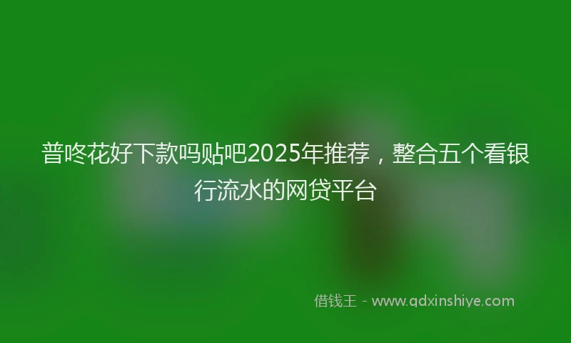 普咚花好下款吗贴吧2025年推荐，整合五个看银行流水的网贷平台