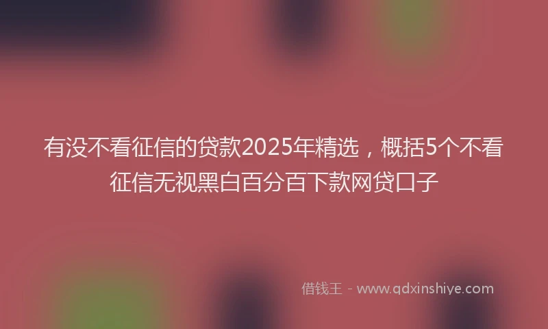 有没不看征信的贷款2025年精选，概括5个不看征信无视黑白百分百下款网贷口子
