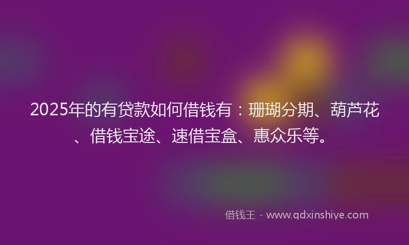 2025年的有贷款如何借钱有：珊瑚分期、葫芦花、借钱宝途、速借宝盒、惠众乐等。