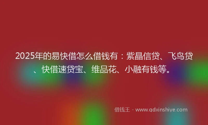 2025年的易快借怎么借钱有：紫晶信贷、飞鸟贷、快借速贷宝、维品花、小融有钱等。