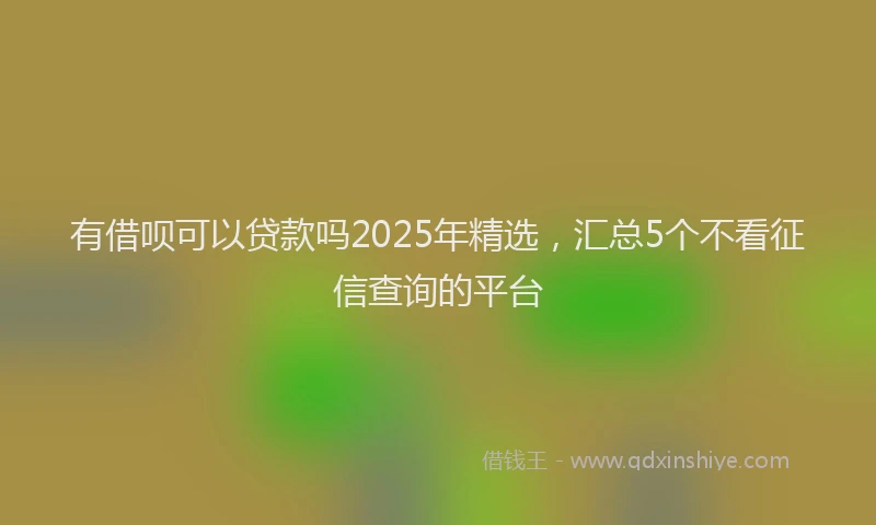 有借呗可以贷款吗2025年精选，汇总5个不看征信查询的平台
