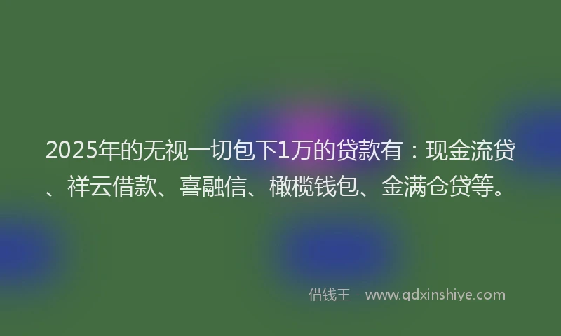 2025年的无视一切包下1万的贷款有：现金流贷、祥云借款、喜融信、橄榄钱包、金满仓贷等。
