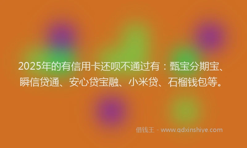 2025年的有信用卡还呗不通过有：甄宝分期宝、瞬信贷通、安心贷宝融、小米贷、石榴钱包等。