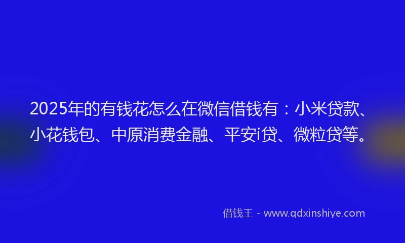 2025年的有钱花怎么在微信借钱有：小米贷款、小花钱包、中原消费金融、平安i贷、微粒贷等。