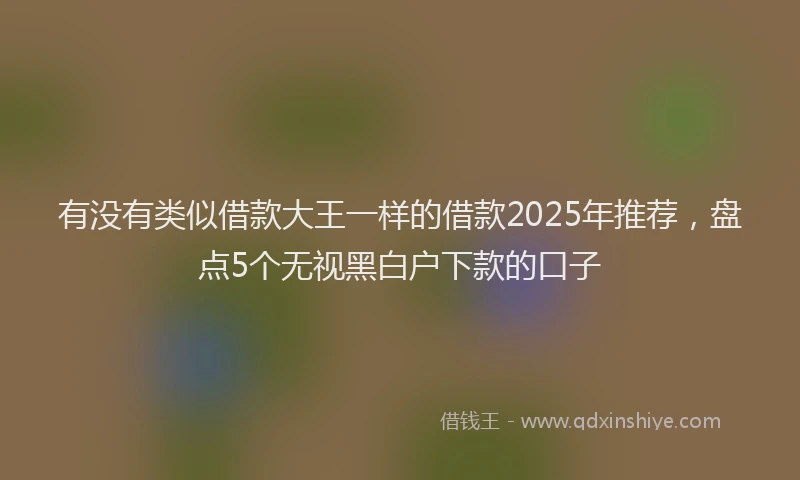 有没有类似借款大王一样的借款2025年推荐，盘点5个无视黑白户下款的口子
