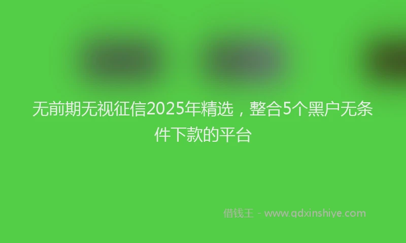 无前期无视征信2025年精选，整合5个黑户无条件下款的平台