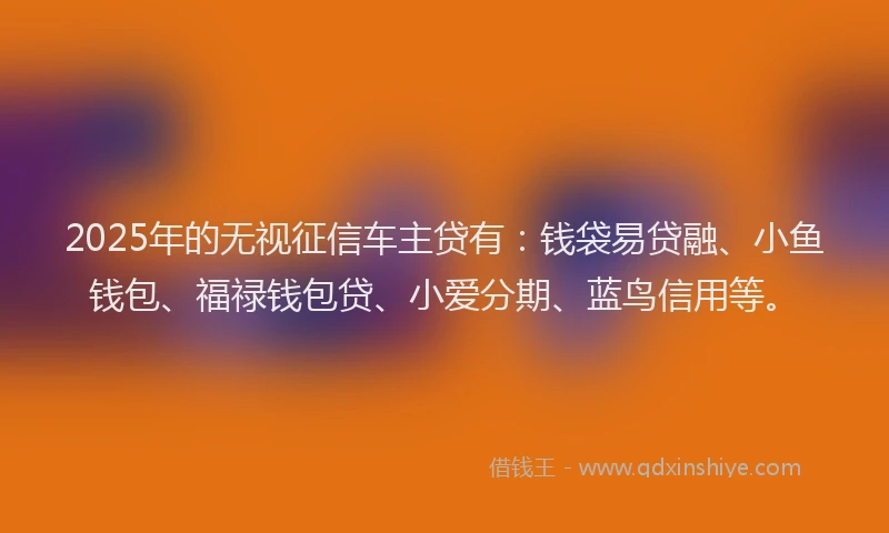 2025年的无视征信车主贷有：钱袋易贷融、小鱼钱包、福禄钱包贷、小爱分期、蓝鸟信用等。