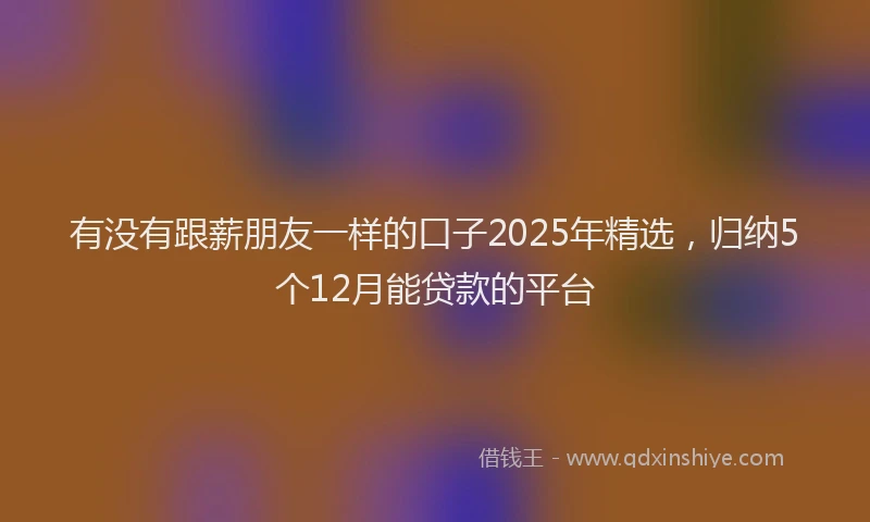 有没有跟薪朋友一样的口子2025年精选，归纳5个12月能贷款的平台